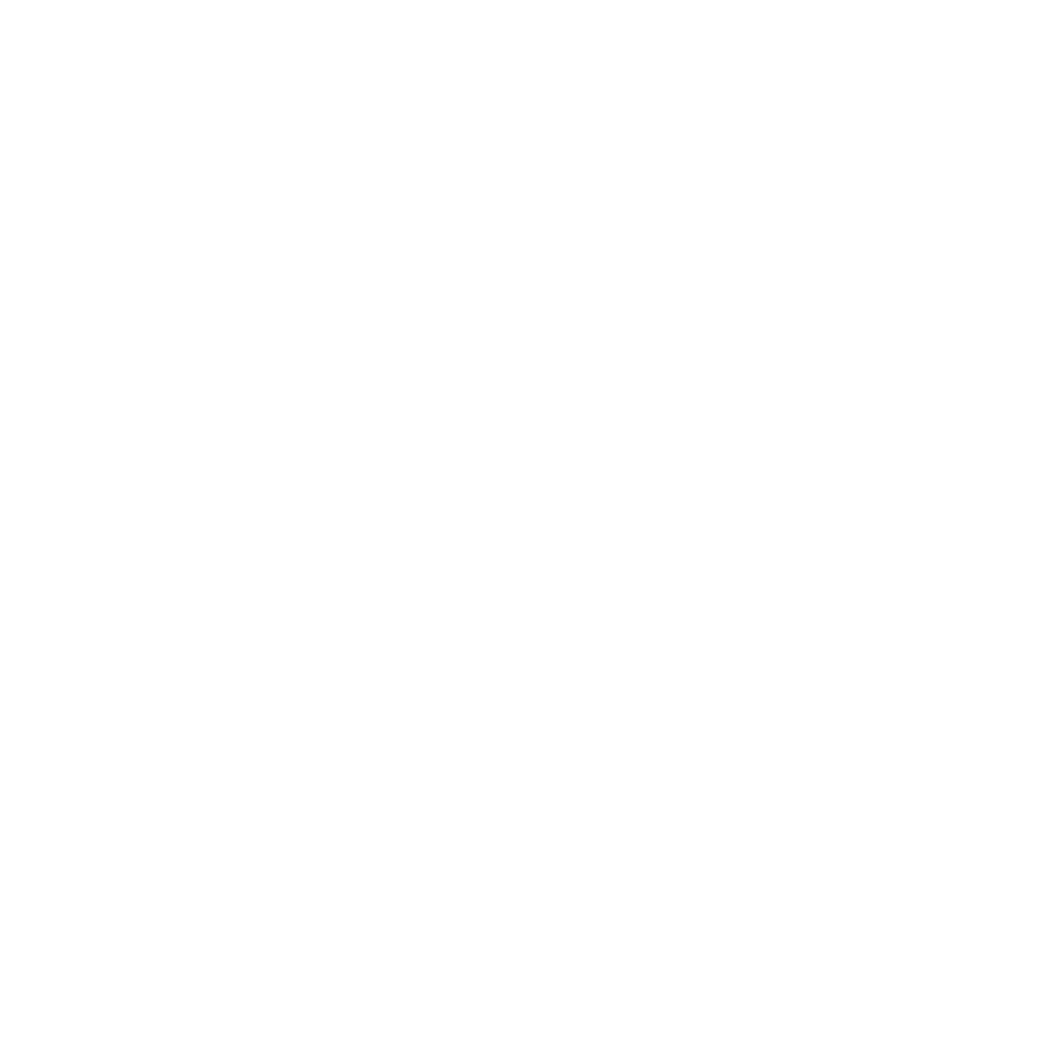 S logo 1